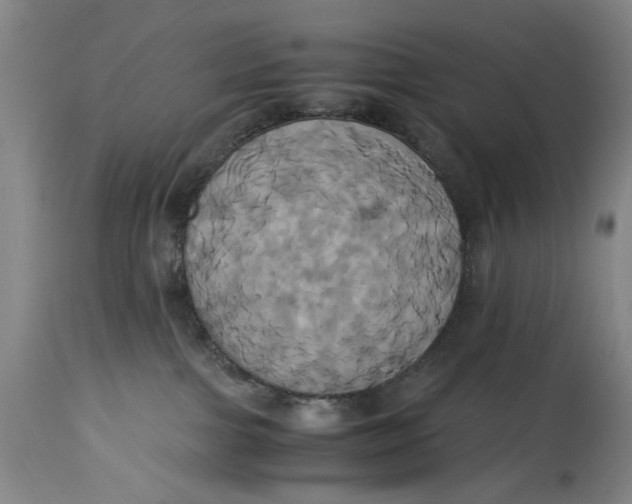 X0000114700091200911121550