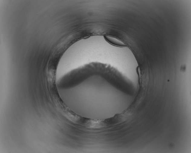 X0000114700093200911121550