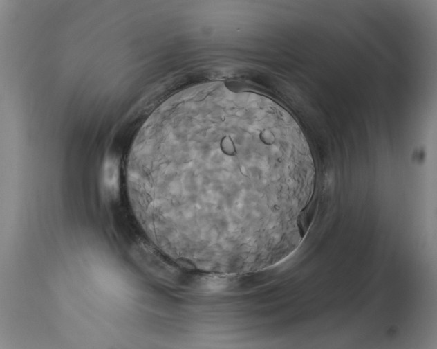 X0000114700094200911121550