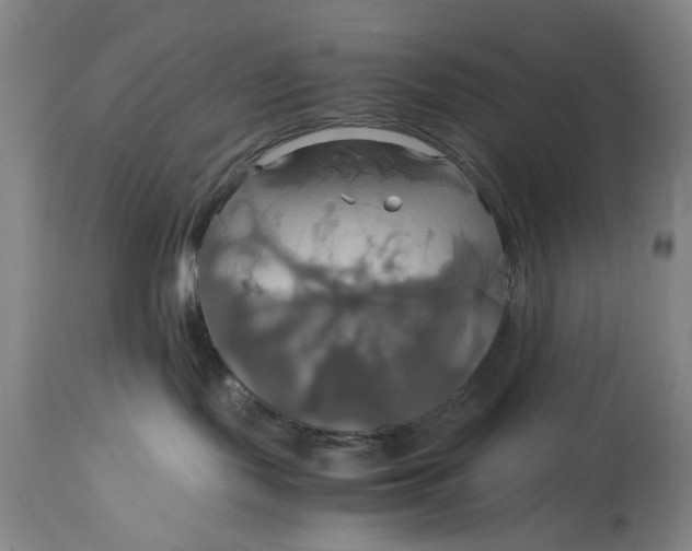 X0000114700095200911121550