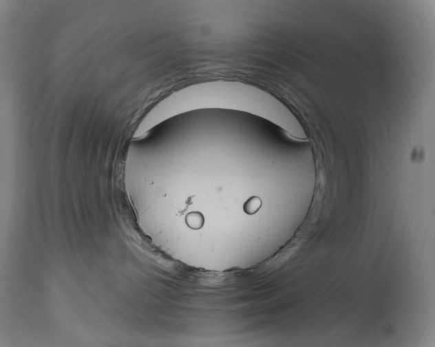 X0000114700096200911121550