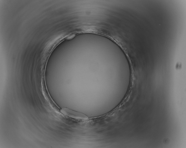 X0000114700097200911121549