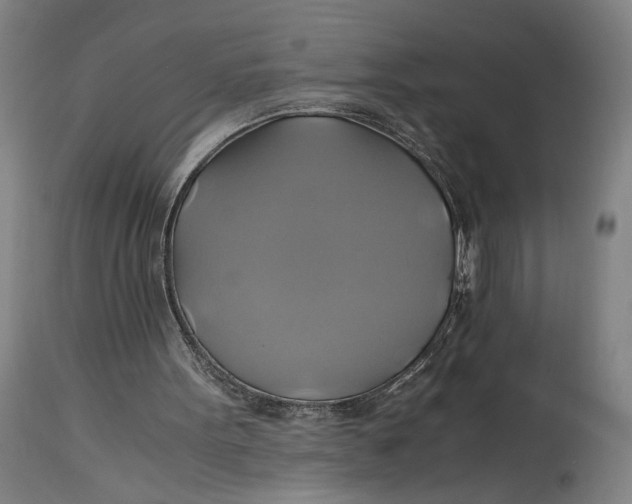 X0000114700099200911121549