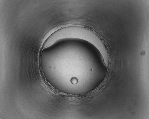 X0000114700100200911121549