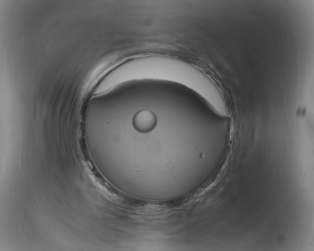 X0000114700101200911121549