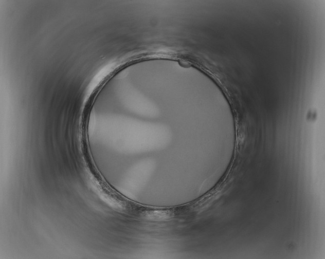 X0000114700102200911121549