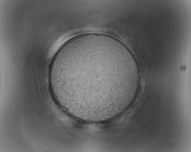 X0000114700103200911121549