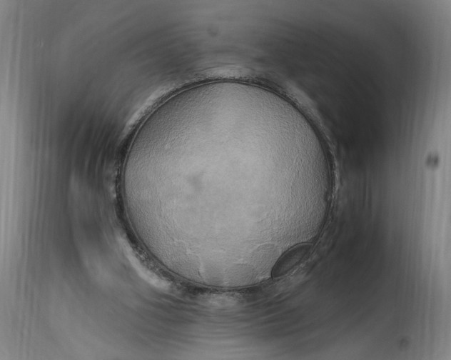 X0000114700106200911121549