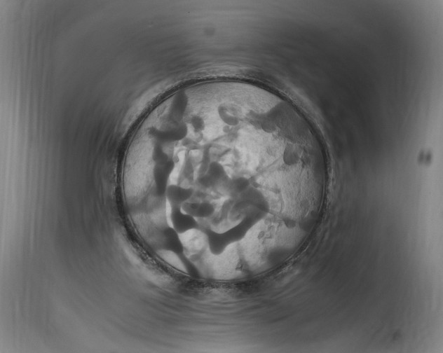 X0000114700107200911121549