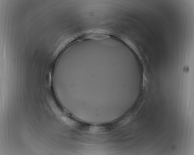 X0000114700109200911121549