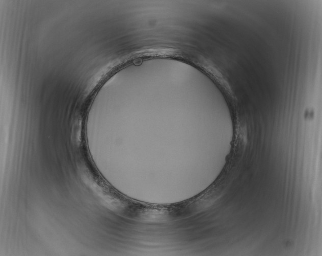 X0000114700110200911121549