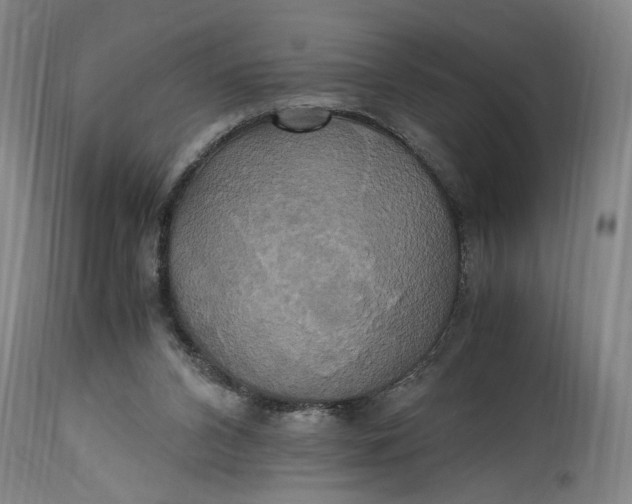 X0000114700112200911121549