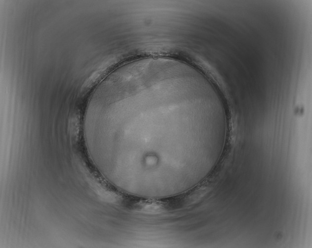 X0000114700113200911121549