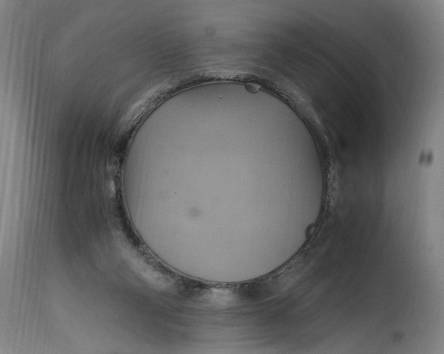 X0000114700114200911121549