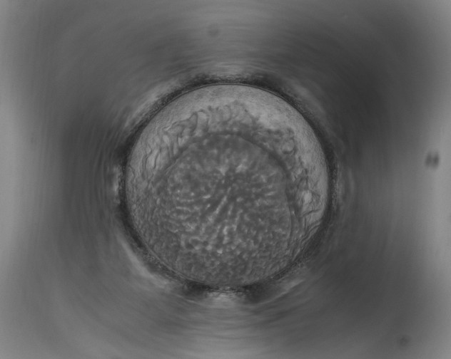 X0000114700115200911121549