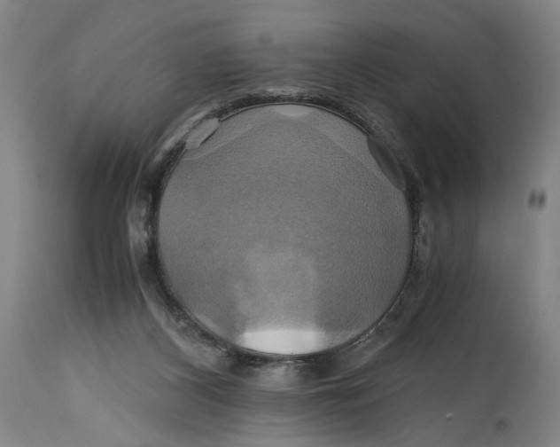 X0000114700116200911121549