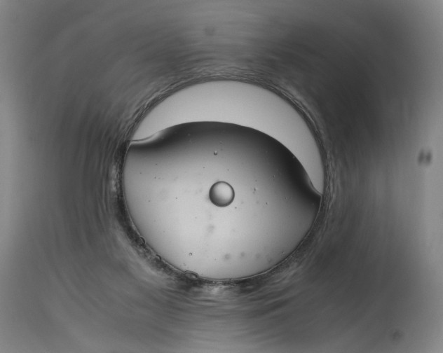 X0000114700117200911121549