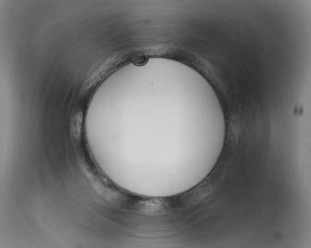 X0000114700118200911121549