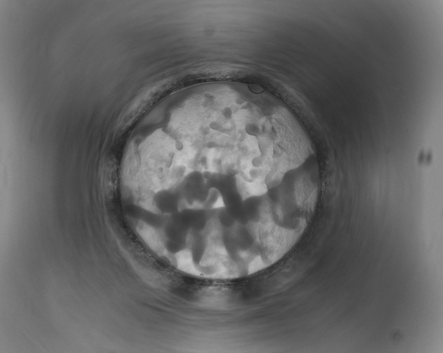 X0000114700119200911121549