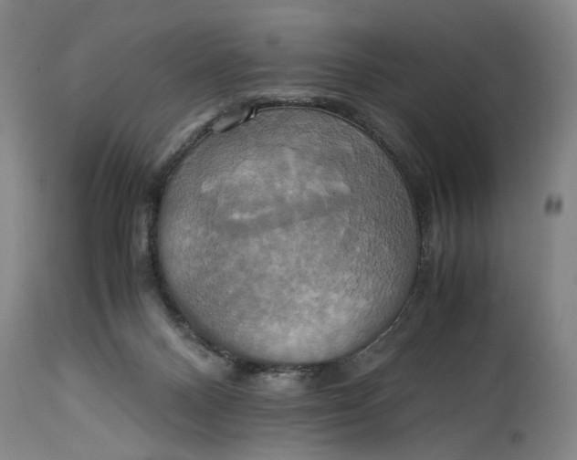 X0000114700120200911121549