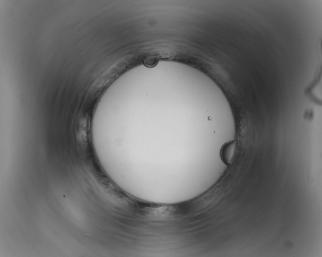 X0000114700122200911121549