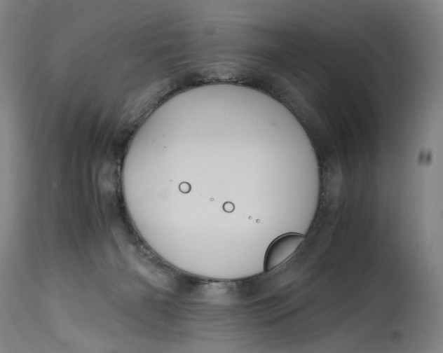 X0000114700126200911121549