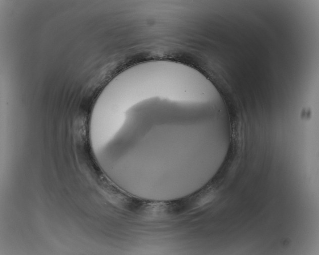 X0000114700127200911121549