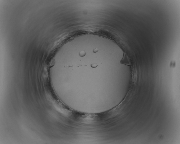 X0000114700128200911121549