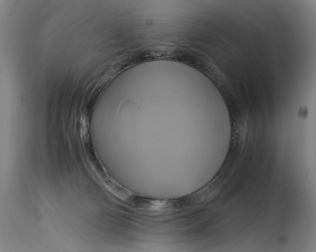 X0000114700130200911121548