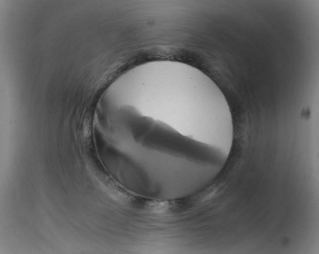 X0000114700131200911121548