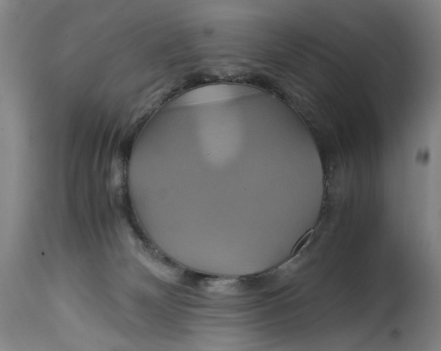 X0000114700132200911121548