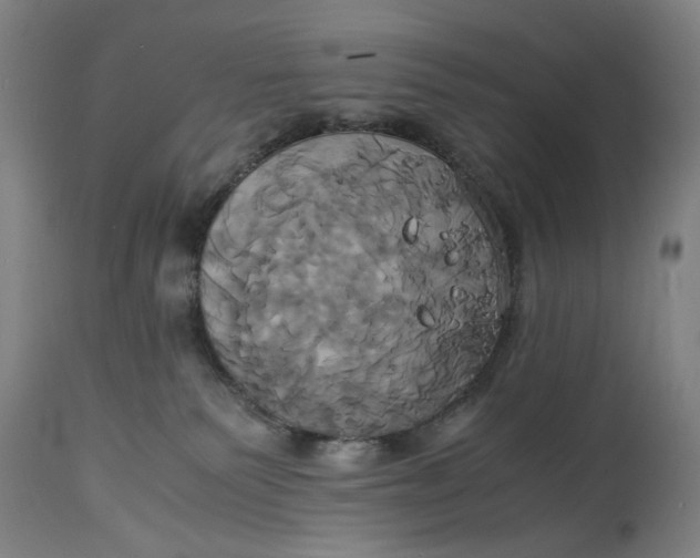 X0000114700135200911121548