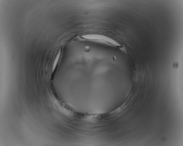 X0000114700136200911121548