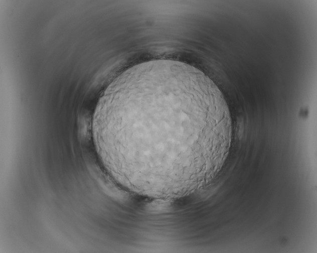 X0000114700138200911121548