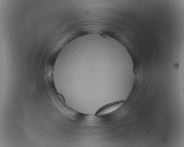 X0000114700141200911121548