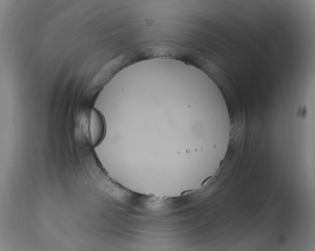 X0000114700142200911121548