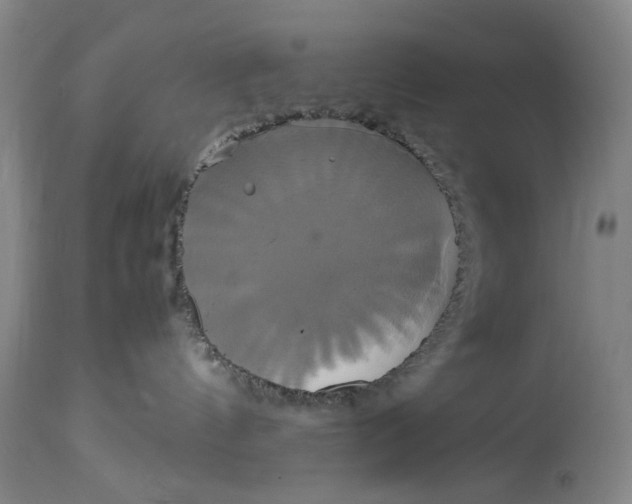 X0000114700144200911121548