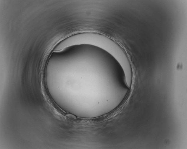 X0000114700145200911121548