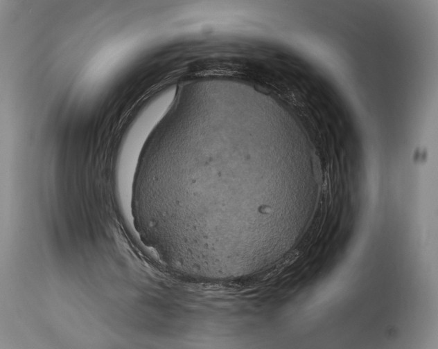 X0000114700146200911121548