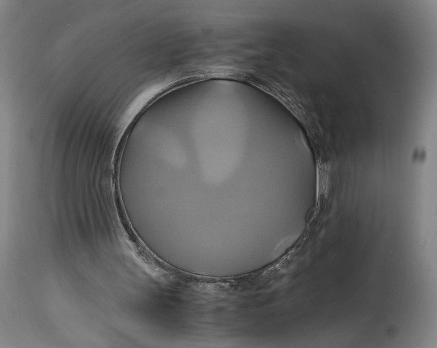 X0000114700147200911121548