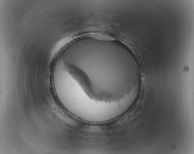 X0000114700149200911121548