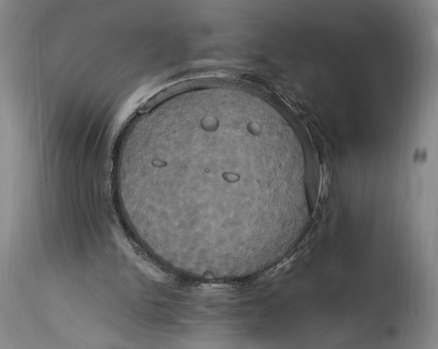 X0000114700150200911121548