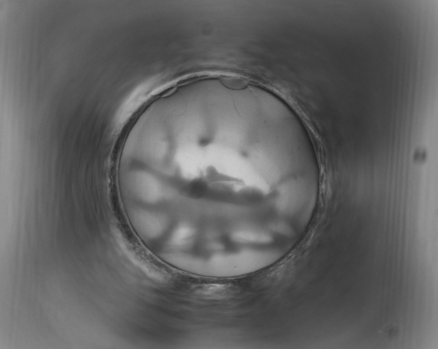 X0000114700151200911121548