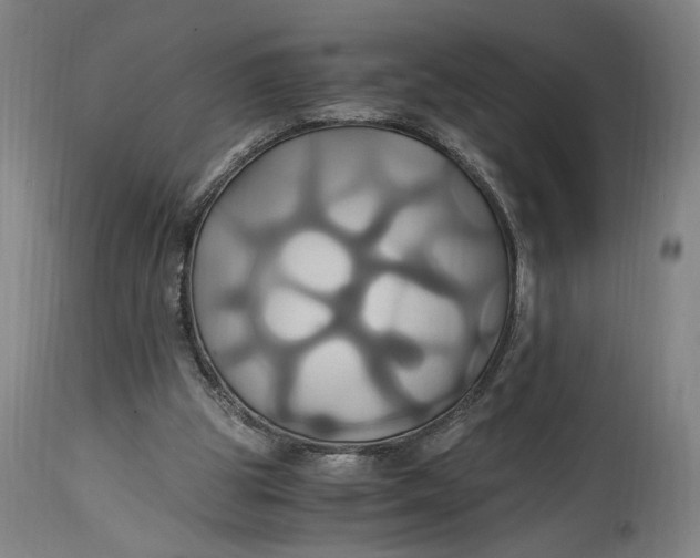 X0000114700153200911121548