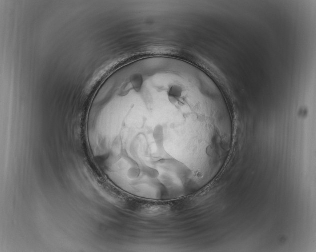 X0000114700155200911121548