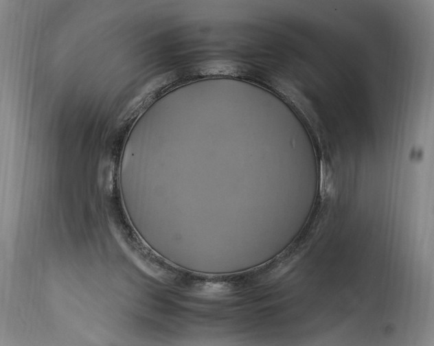 X0000114700157200911121548