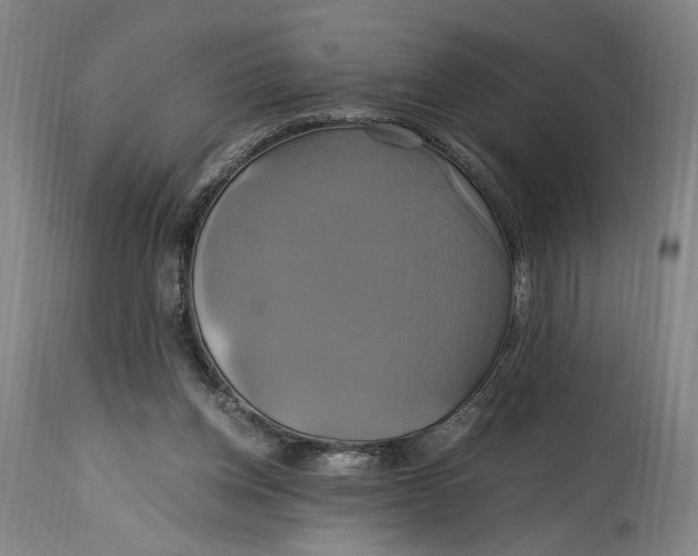 X0000114700158200911121548