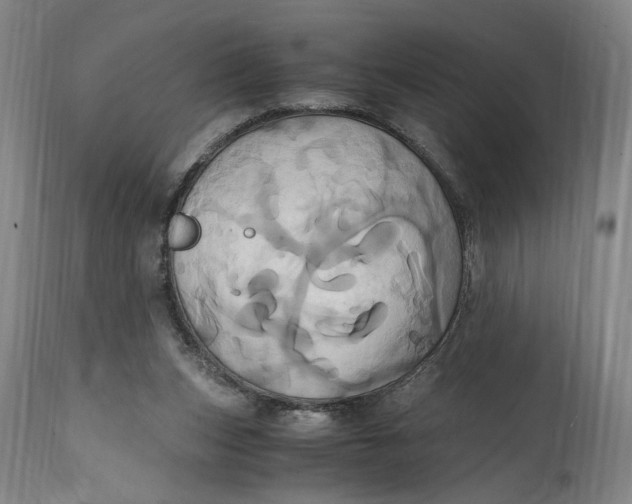 X0000114700159200911121548