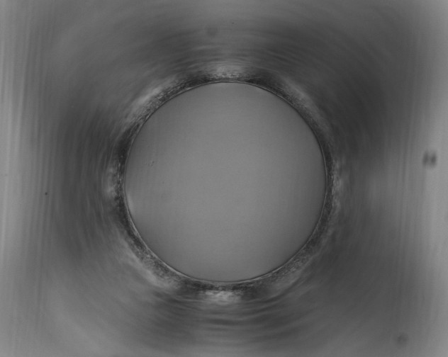 X0000114700161200911121548