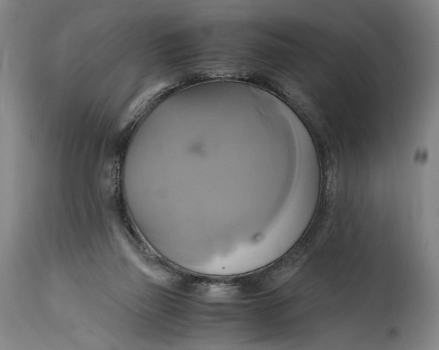 X0000114700165200911121548